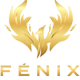 logo fenix academy